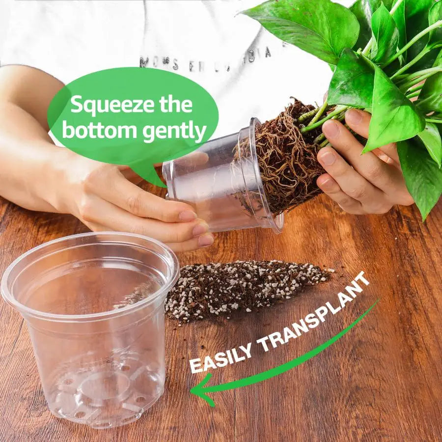 Plant Nursery Pots 5/4/3.5 Inch, Transparent Plastic Planter with Drainage Hole for Indoor Succulent, Seed Starting Pot Flower