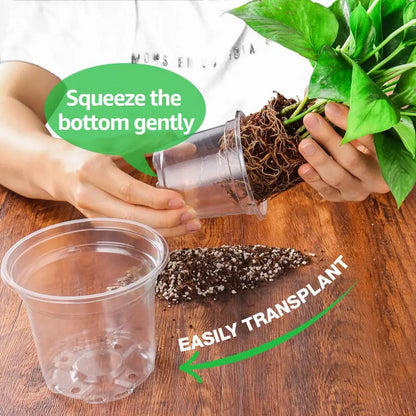 Plant Nursery Pots 5/4/3.5 Inch, Transparent Plastic Planter with Drainage Hole for Indoor Succulent, Seed Starting Pot Flower